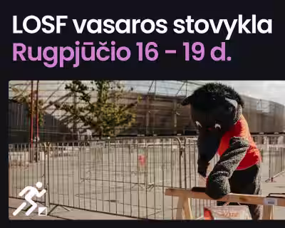 LOSF vasaros stovykla