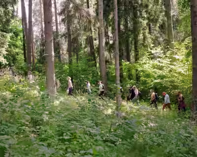 NEMOKAMAS ŽYGIS VILNIAUS GAMTOJE: Karoliniškių draustinis ir Vingio parkas (09.10)