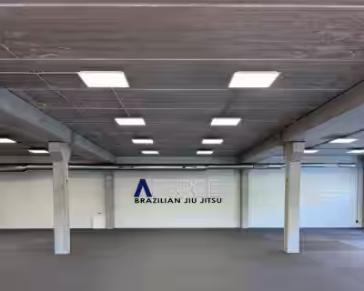 A-Force BJJ Šilainiai – atidarymo šventė 
