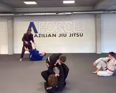 Nemokamas Jiu-Jitsu seminaras naujokams Šilainiuose!