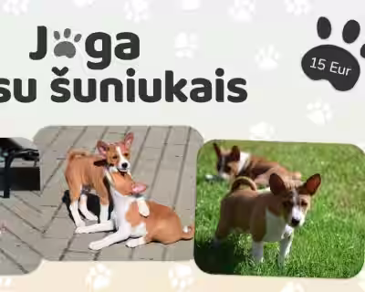 Joga su BASENDŽIAIS