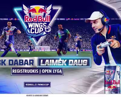 RED BULL WINGS CUP