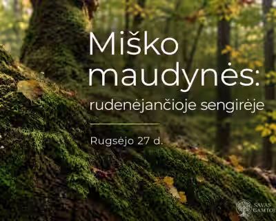 MIŠKO MAUDYNĖS: rudenėjančioje sengirėje 