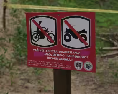Paganyk visureigį Nr.105, Panemunė II