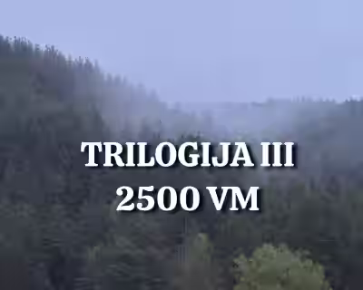 TRILOGIJA III: AUKŠTADVARIS 2500 VM VIETŲ NEBĖRA