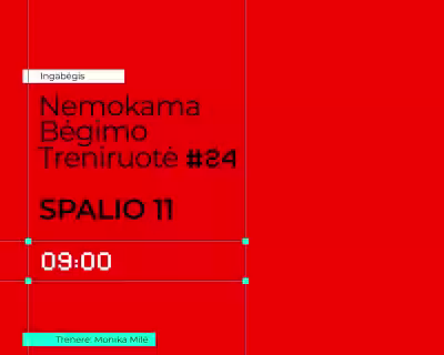 Nemokama trail treniruotė: ilgasis bėgimas