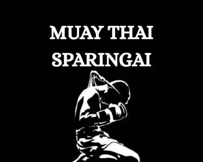 MUAY THAI SPARINGAI VILNIUS 2026