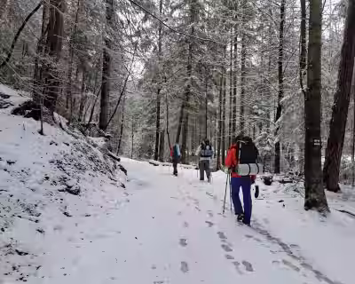 Žygis rudens Tatruose