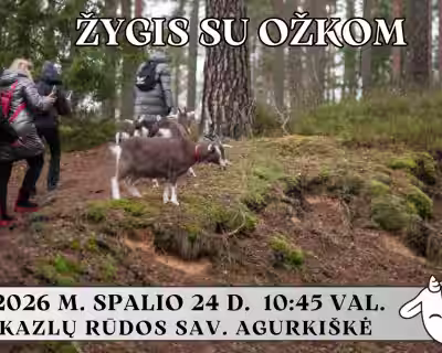 ŽYGIS SU OŽKOM