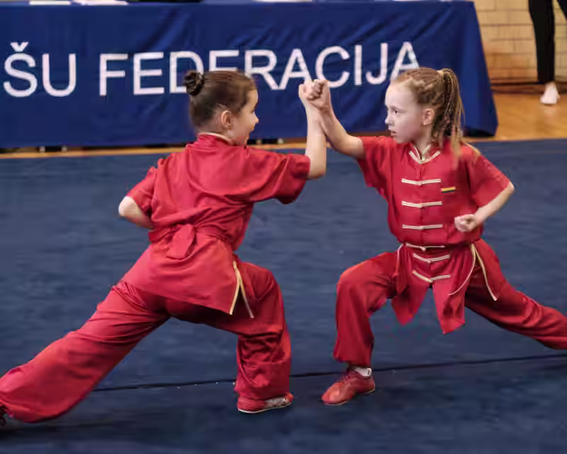 BALTIC OPEN KUNG FU WUSHU CHAMPIONSHIP 2026 nuotrauka 2
