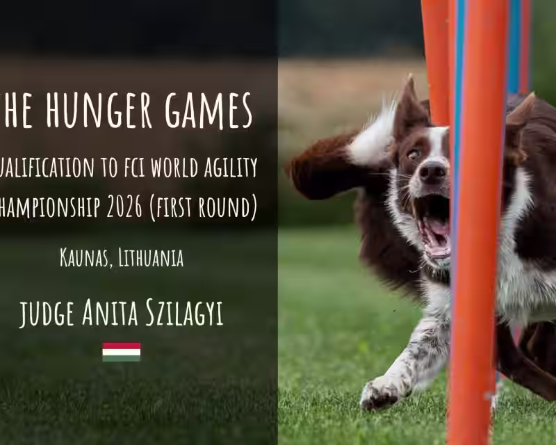 THE HUNGER GAMES - pirmasis atrankos į AWC 2026 etapas nuotrauka 1