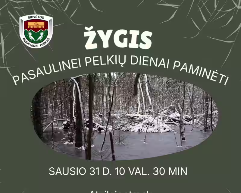 Pelkių dienos žygis - 2026 nuotrauka 1