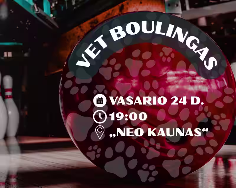 Vet boulingas nuotrauka 1