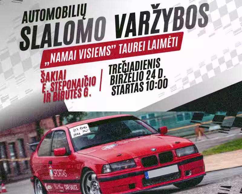 Automobilių slalomo varžybos nuotrauka 1