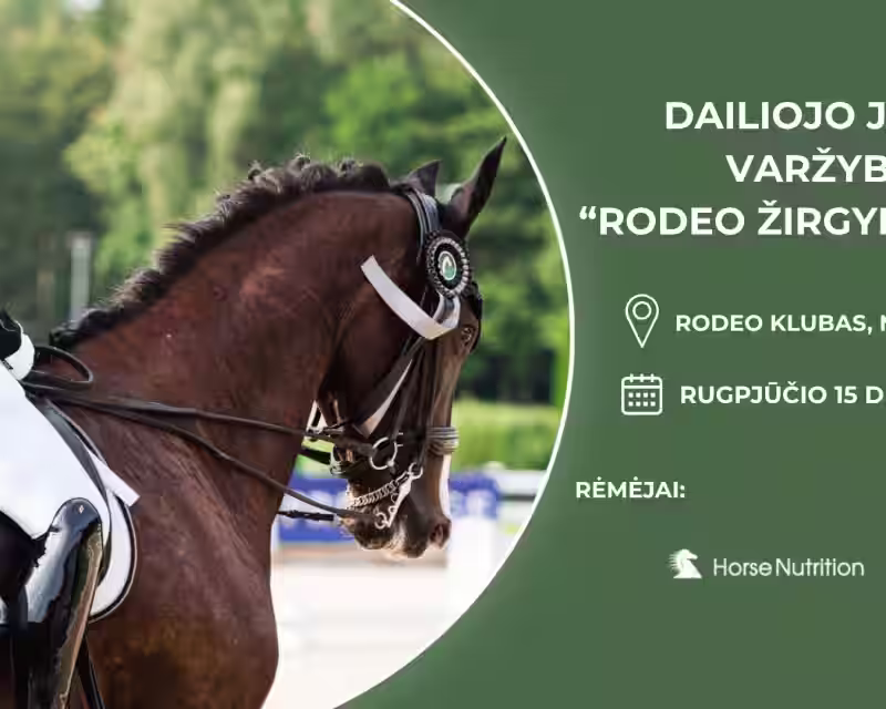 DAILIOJO JOJIMO VARŽYBOS "RODEO ŽIRGYNO TAURĖ" nuotrauka 1