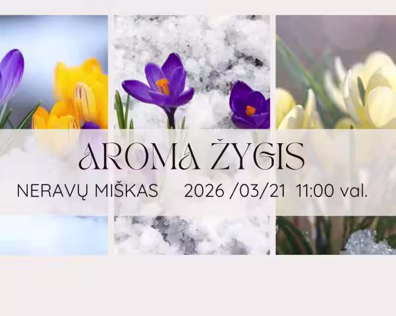 AROMA ŽYGIS nuotrauka 1