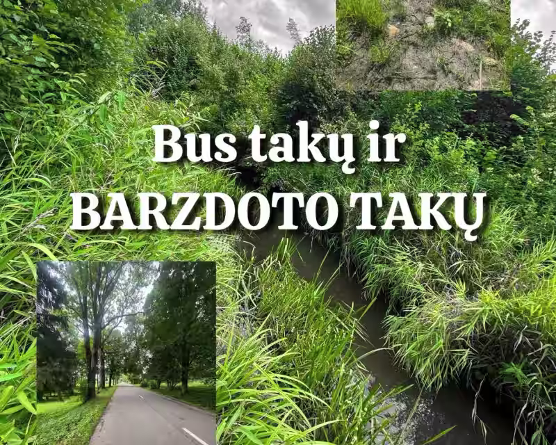  „1001 Kūlis ir Europos Ąžuolo paieškose” žygis su Barzdotu Gidu nuotrauka 3
