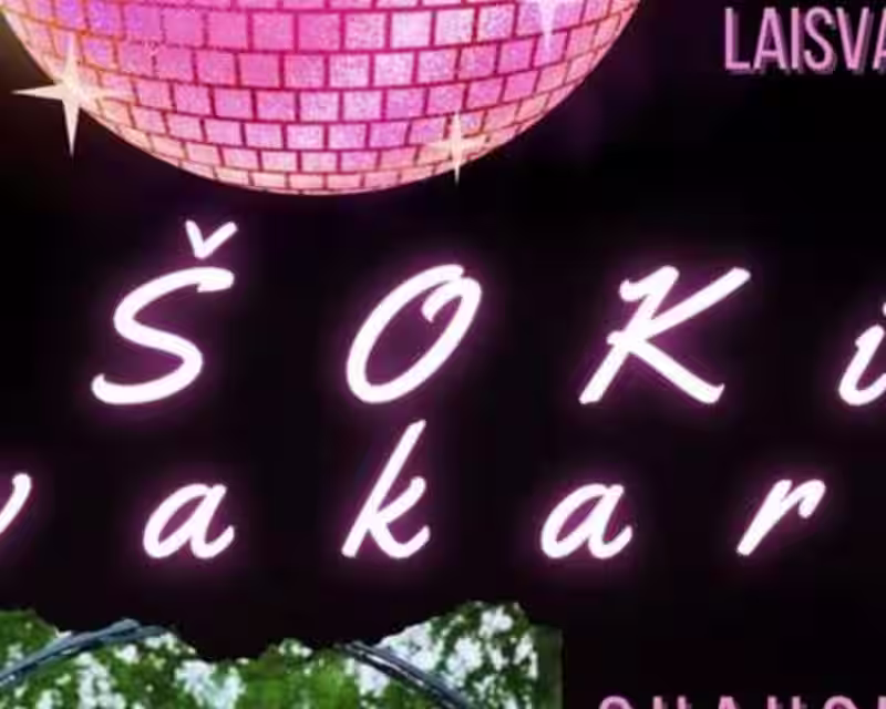 ŠOKIŲ VAKARAS SUAUGUSIEMS nuotrauka 3