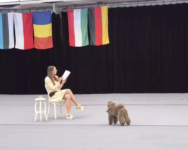 Šokių su šunimis varžybos (Dog dance competition) 2025.05.17 nuotrauka 1