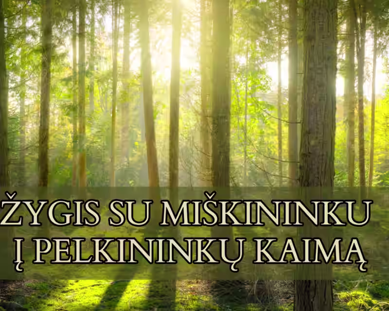 Pažintis su aukštapelke žydint švyliams nuotrauka 1