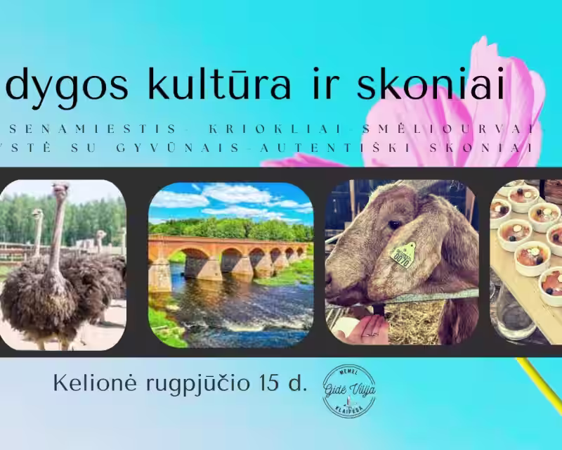 KULDYGOS KULTŪRA IR SKONIAI nuotrauka 1
