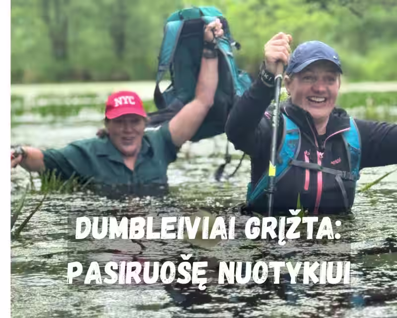 DUMBLEIVIŲ SUGRĮŽIMAS: KUR TU BRENDI? (GRUPĖ PILNA) nuotrauka 1