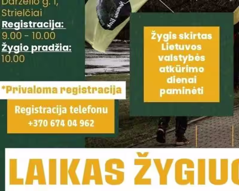 Žygis "Lietuvos valstybės atkūrimo dienai paminėti" nuotrauka 1