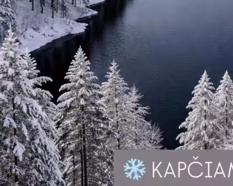 KAPČIAMIESTIS ŽIEMĄ: žygis miškais, kalvomis, šalia ežerų (Lazdijų r.) nuotrauka 2