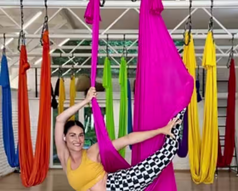 In person Aerial Yoga Teacher Training Course Level 3 with CamiyogAIR nuotrauka 1