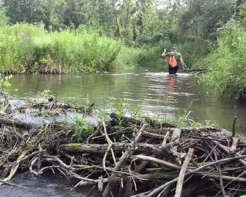 Nuotykis "Žolinės žolynuos" nuotrauka 1