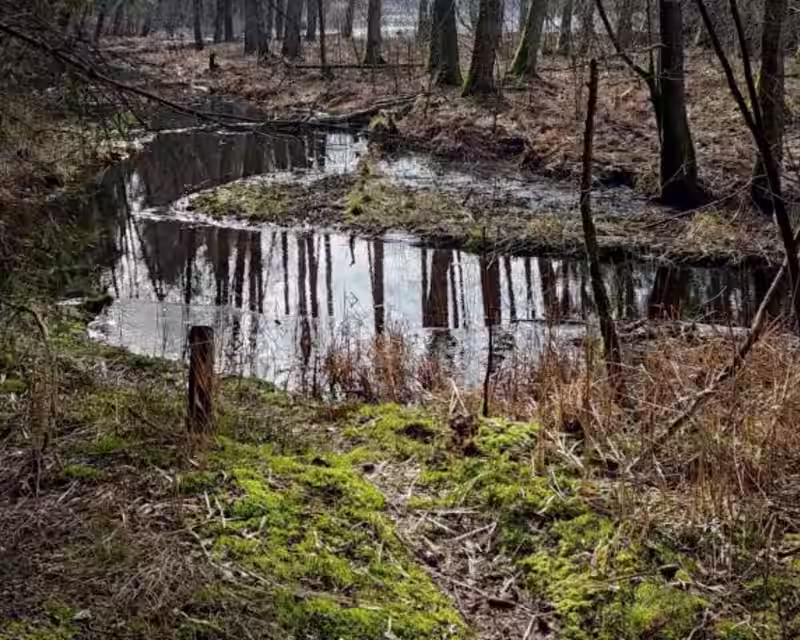 Žygis VON KARŠUVON nuotrauka 3