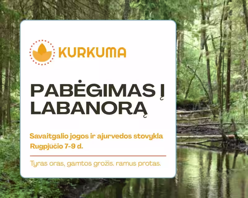 Kurkumos Jogos ir ajurvedos stovykla Labanore nuotrauka 1