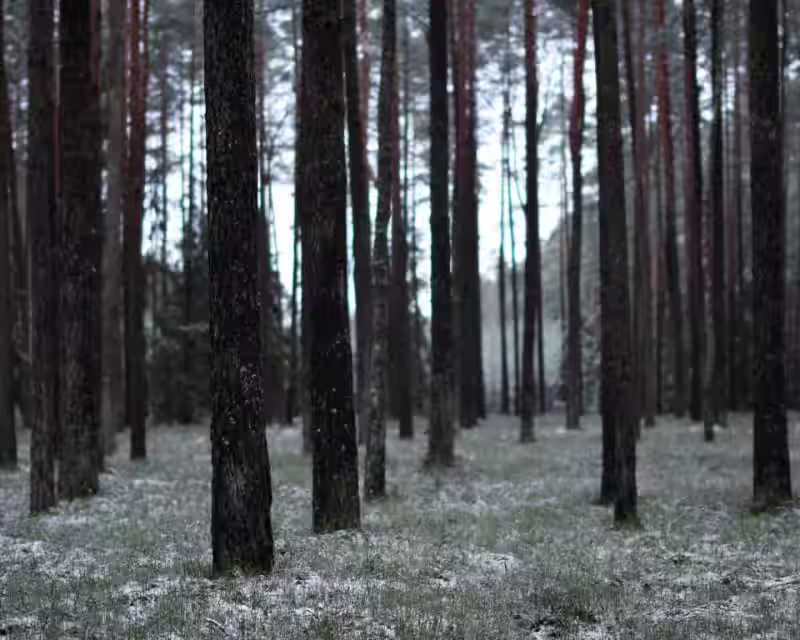 Išlikimo stovykla – FROSTLINE nuotrauka 2