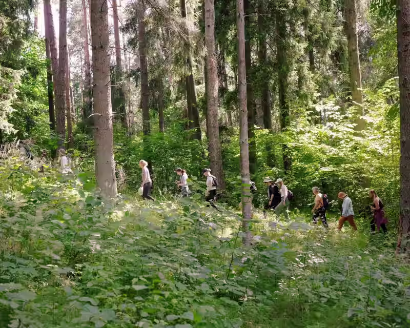 NEMOKAMAS ŽYGIS VILNIAUS GAMTOJE: Karoliniškių draustinis ir Vingio parkas (09.10) nuotrauka 1