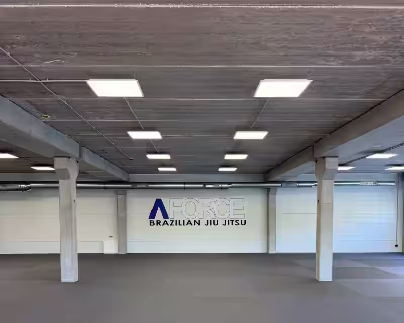 A-Force BJJ Šilainiai – atidarymo šventė  nuotrauka 1