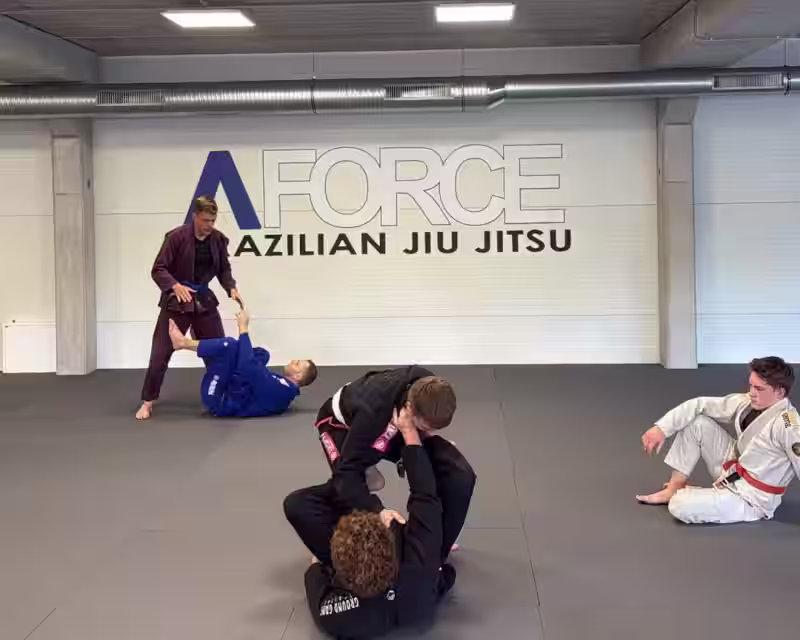 Nemokamas Jiu-Jitsu seminaras naujokams Šilainiuose! nuotrauka 1