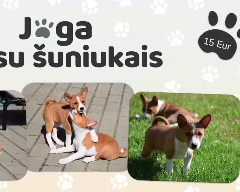 Joga su BASENDŽIAIS nuotrauka 1