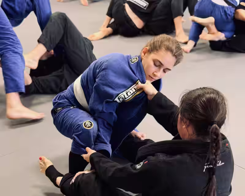 Įvadinė nemokama Jiu-Jitsu treniruotė moterims Žirmūnuose! nuotrauka 3