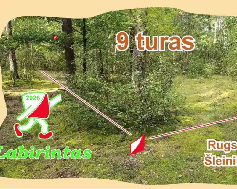 Labirintas 2026, 9 turas nuotrauka 1