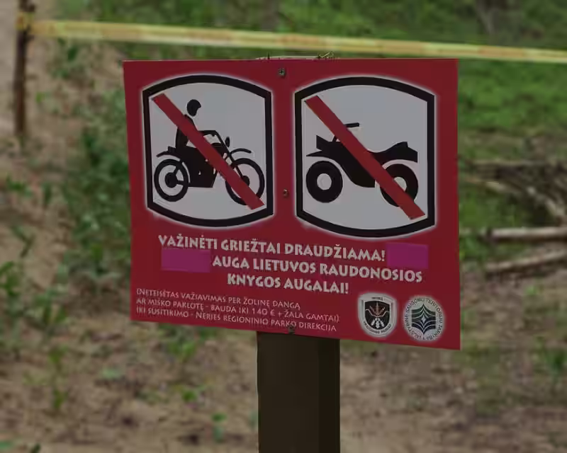 Paganyk visureigį Nr.105, Panemunė II nuotrauka 1