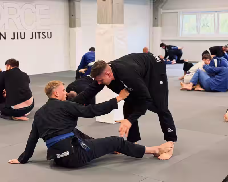 Įvadinė nemokama Jiu-Jitsu treniruotė Šilainiuose! nuotrauka 1