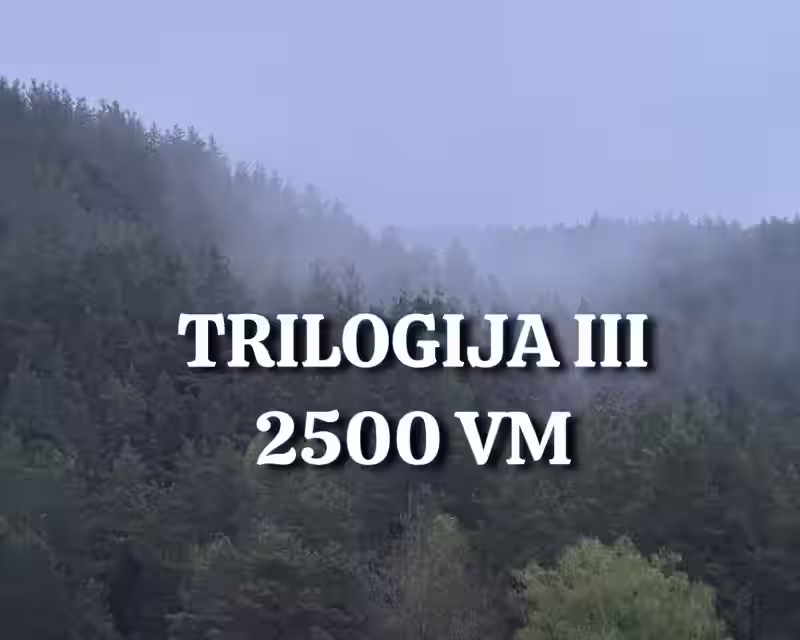 TRILOGIJA III: AUKŠTADVARIS 2500 VM VIETŲ NEBĖRA nuotrauka 1