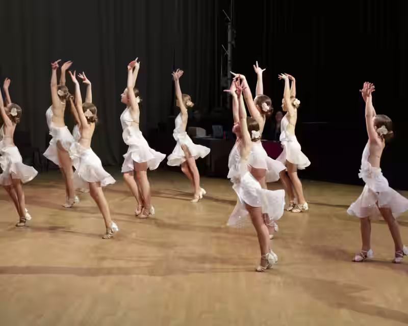 UCWDC Lithuanian Open 2026/ linijiniai solo, šokių komandos, pro/am, poriniai šokiai nuotrauka 1