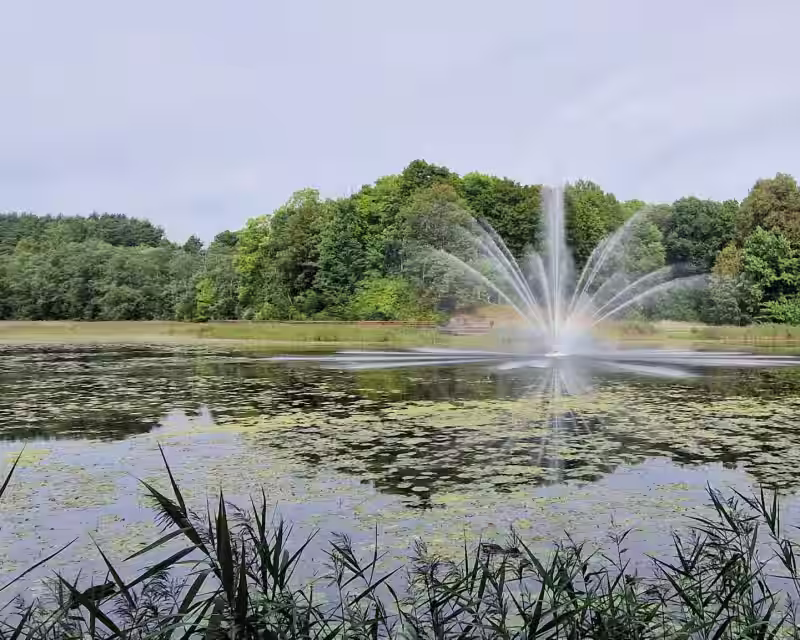 Vilniaus Jeruzalės žygis-ekskursija nuotrauka 1