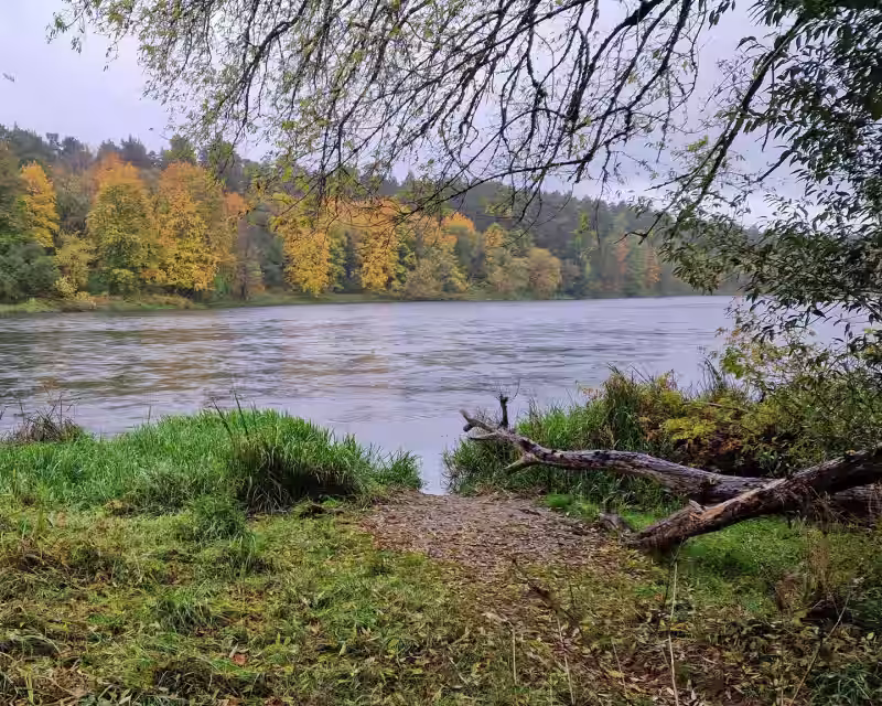 Žaviojo Žvėryno žygis nuotrauka 1