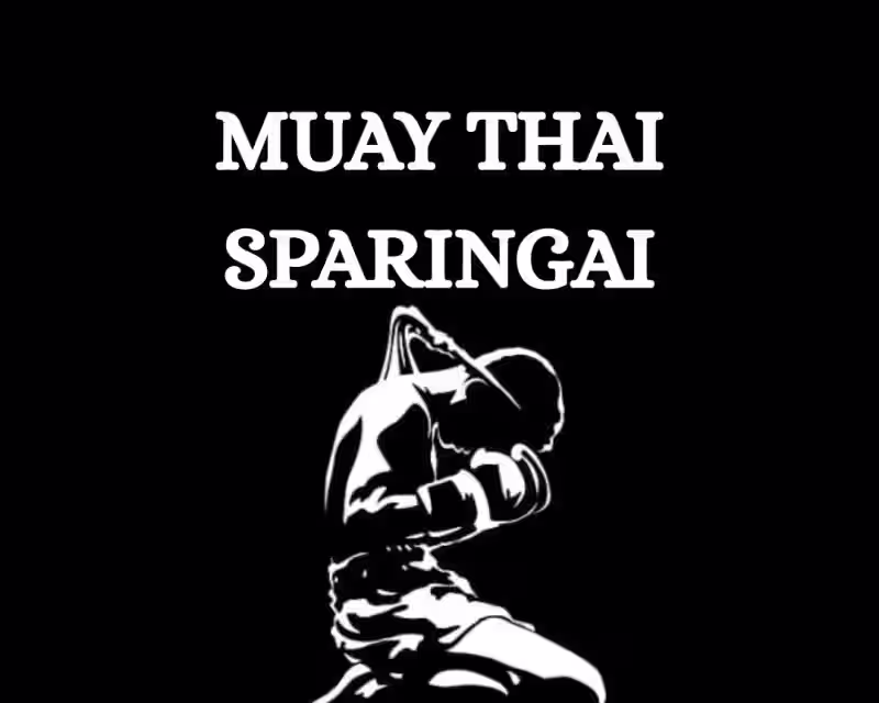 MUAY THAI SPARINGAI VILNIUS 2026 nuotrauka 1