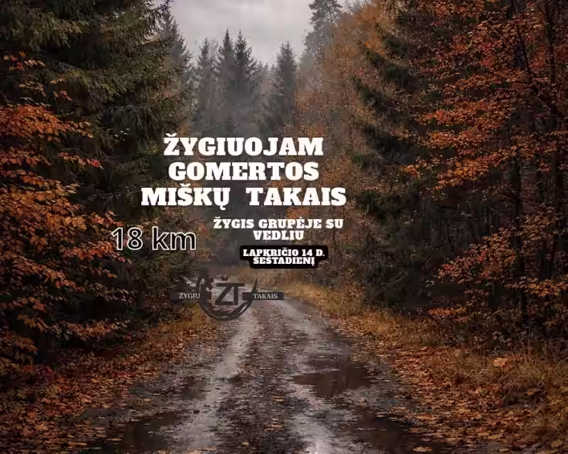 Žygiuojam Gomertos miškų takais nuotrauka 1