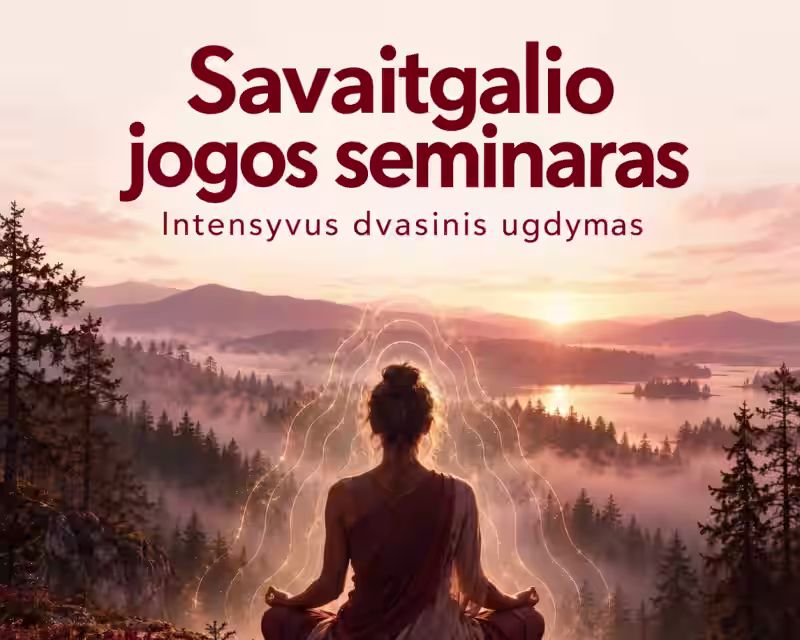 Savaitgalio jogos seminaras nuotrauka 1