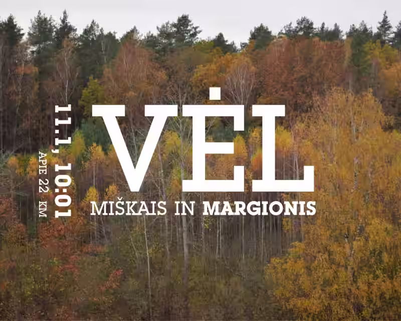 VĖL miškais in Margionis nuotrauka 1