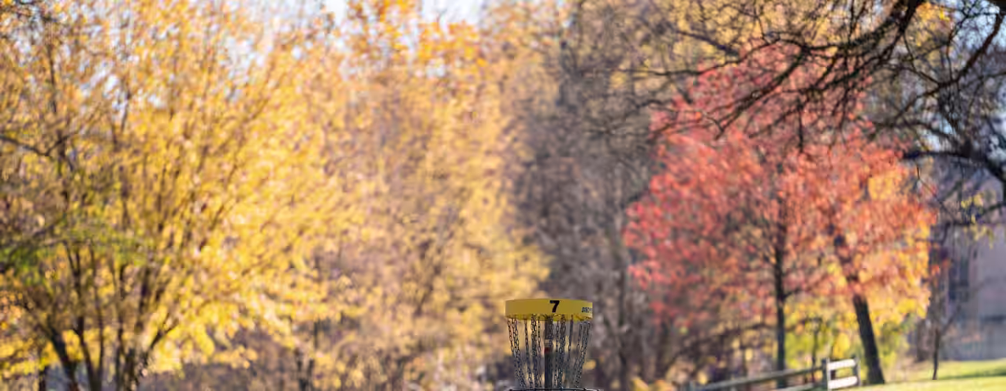 How to Start Playing Disc Golf in Lithuania: A Beginner’s Guide to Disc Golf in Lithuania